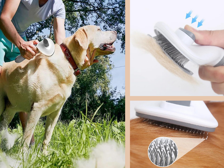 Stainless Steel Hair Brush for Pet